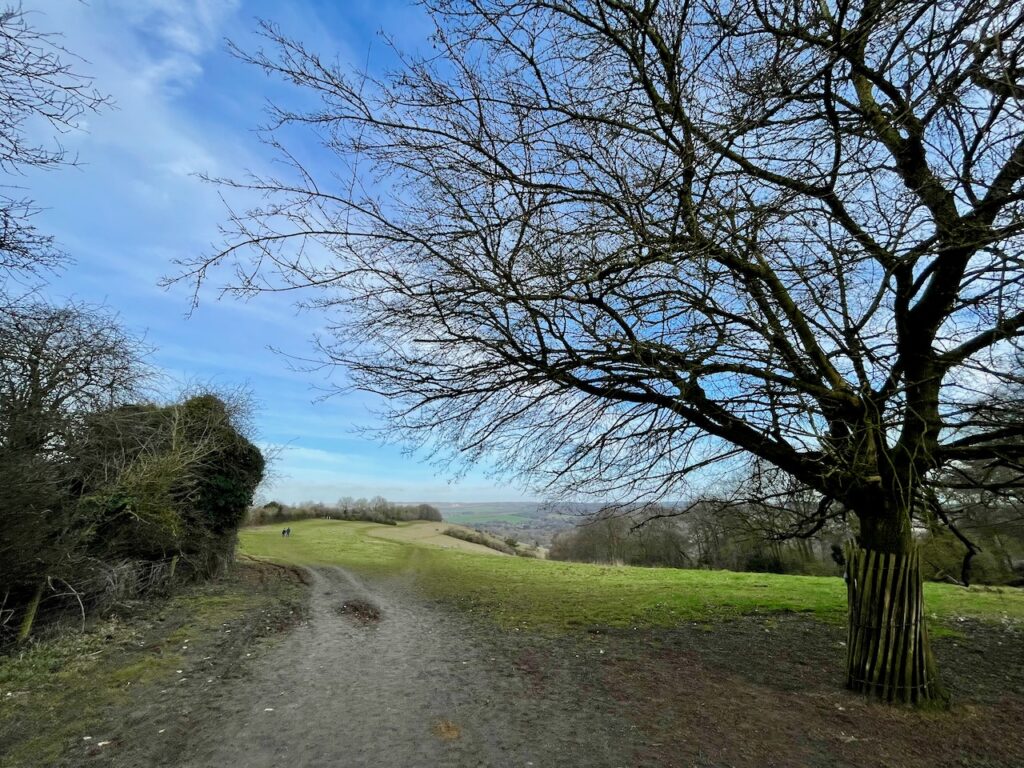 dog walk in Berkshire